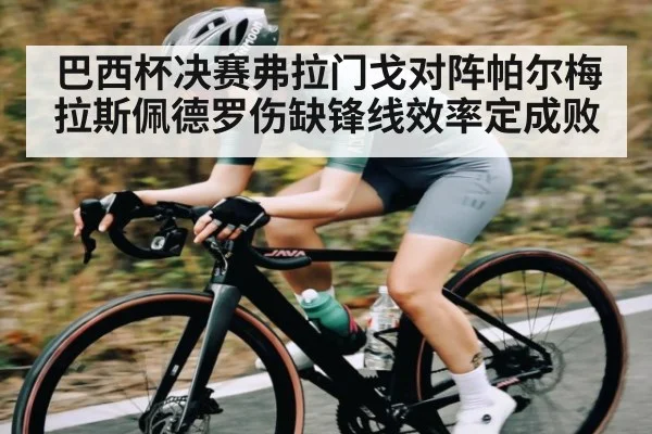巴西杯决赛弗拉门戈对阵帕尔梅拉斯佩德罗伤缺锋线效率定成败 | kaiyun